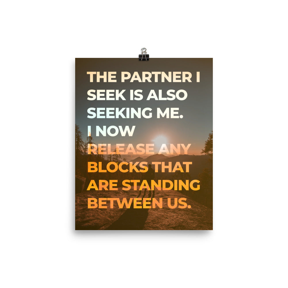 The Partner I Seek Poster Print