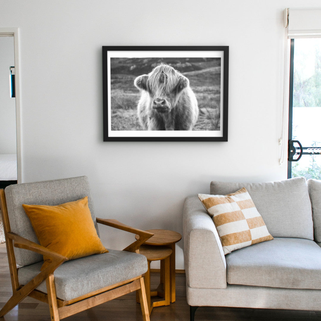 highland cow wall art 