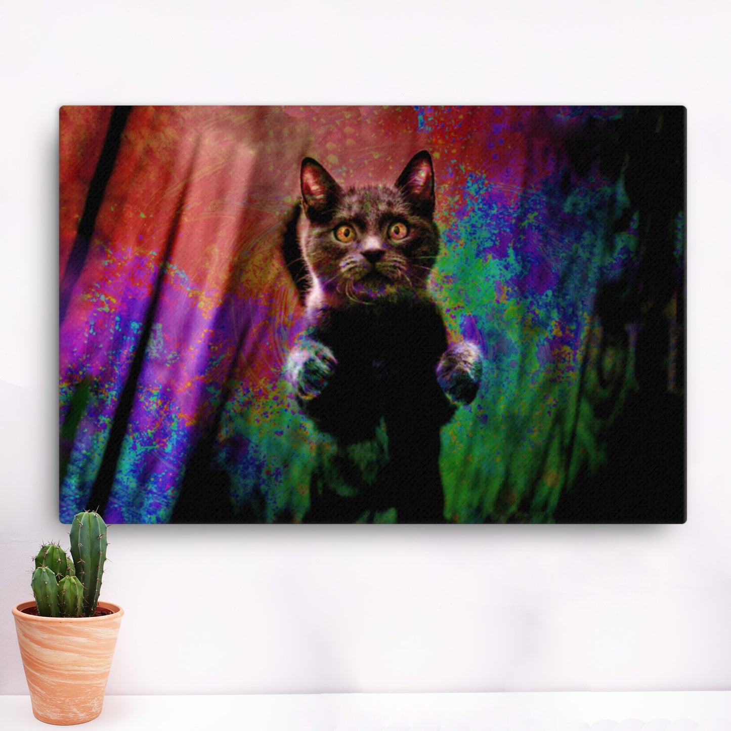 illuminated cat canvas print on wall