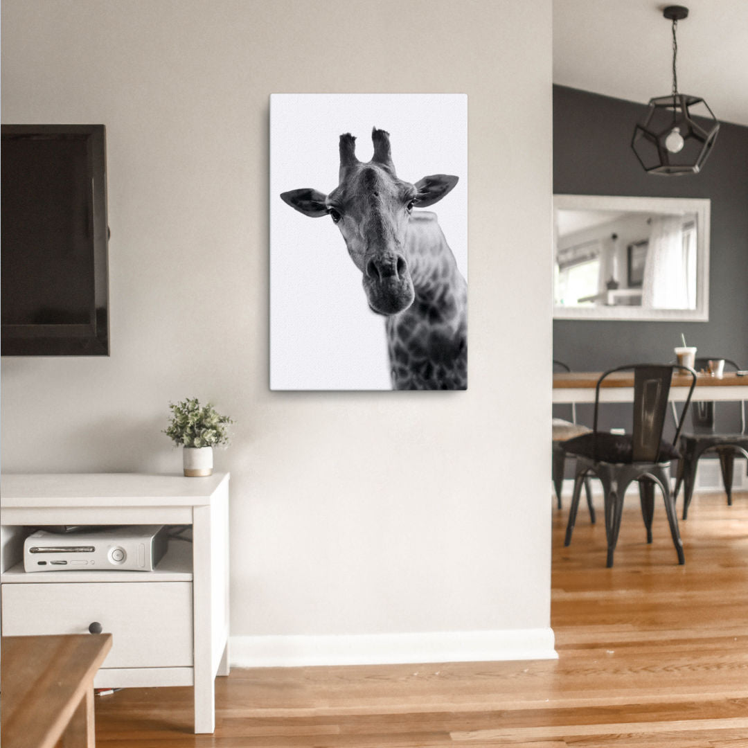 intrigued giraffe canvas on wall 