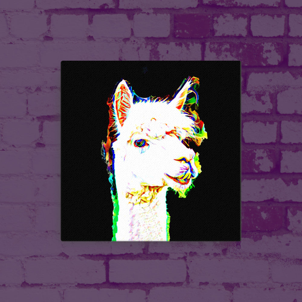 Llama in Colour Canvas Print