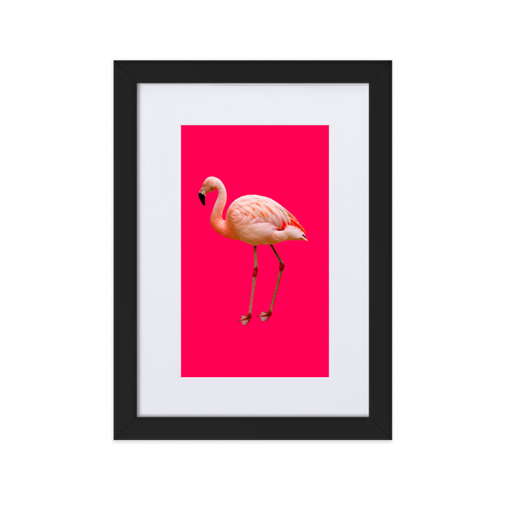 Pink Flamingo Framed Print