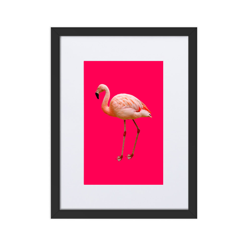 Pink Flamingo Framed Print