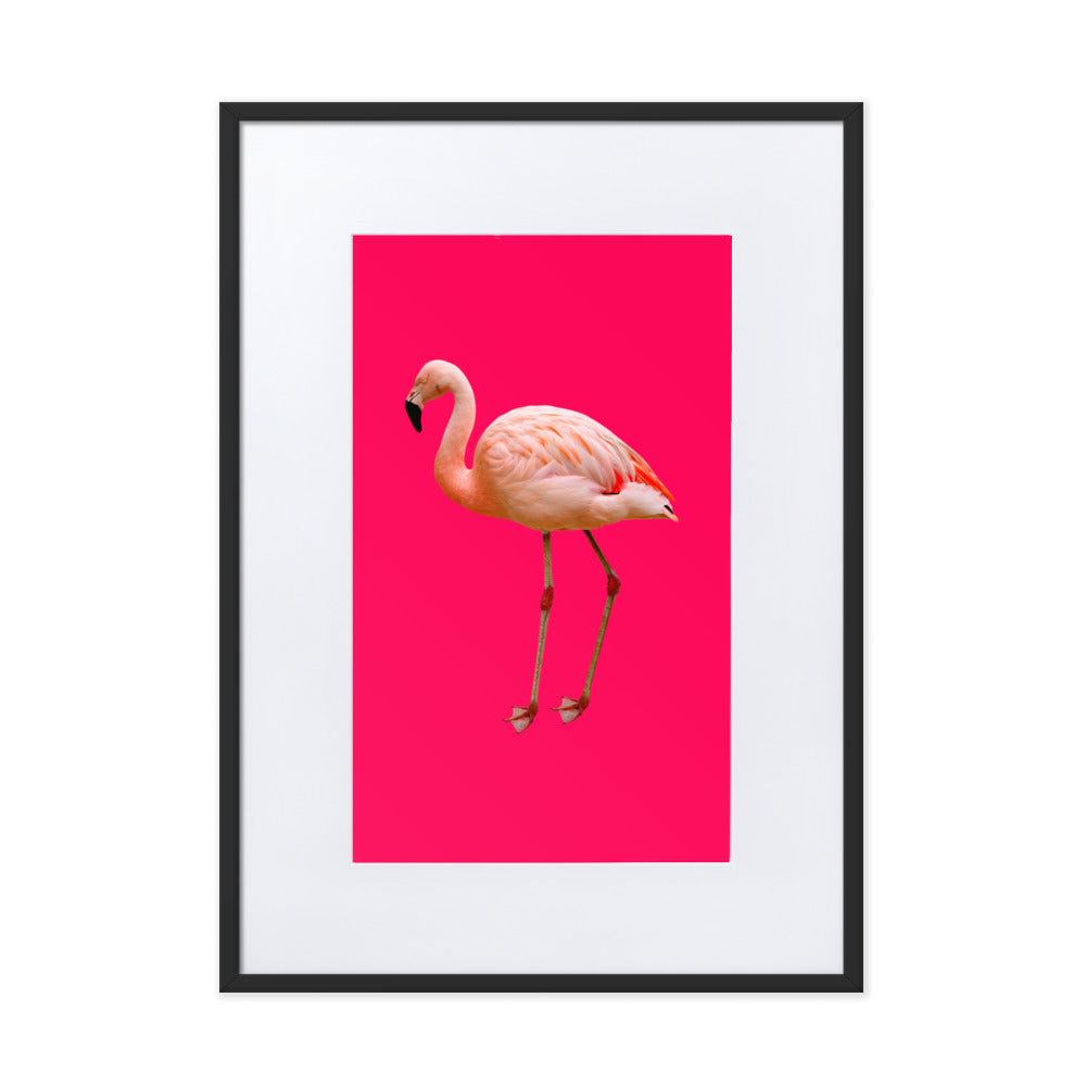 Pink Flamingo Framed Print