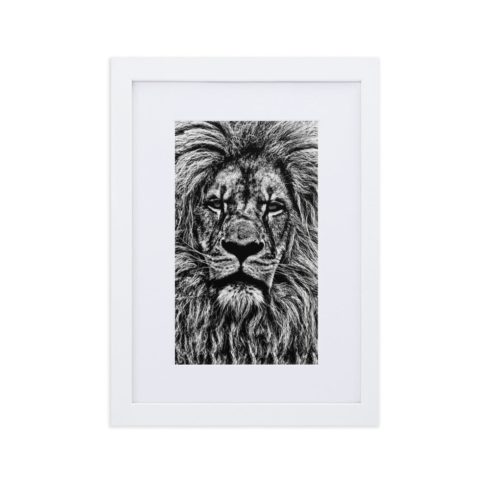 Mono Lion Framed Print With Mat Board