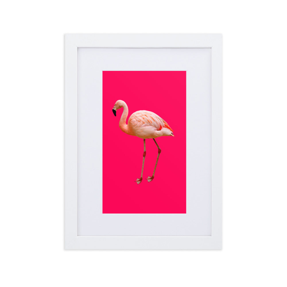 Pink Flamingo Framed Print