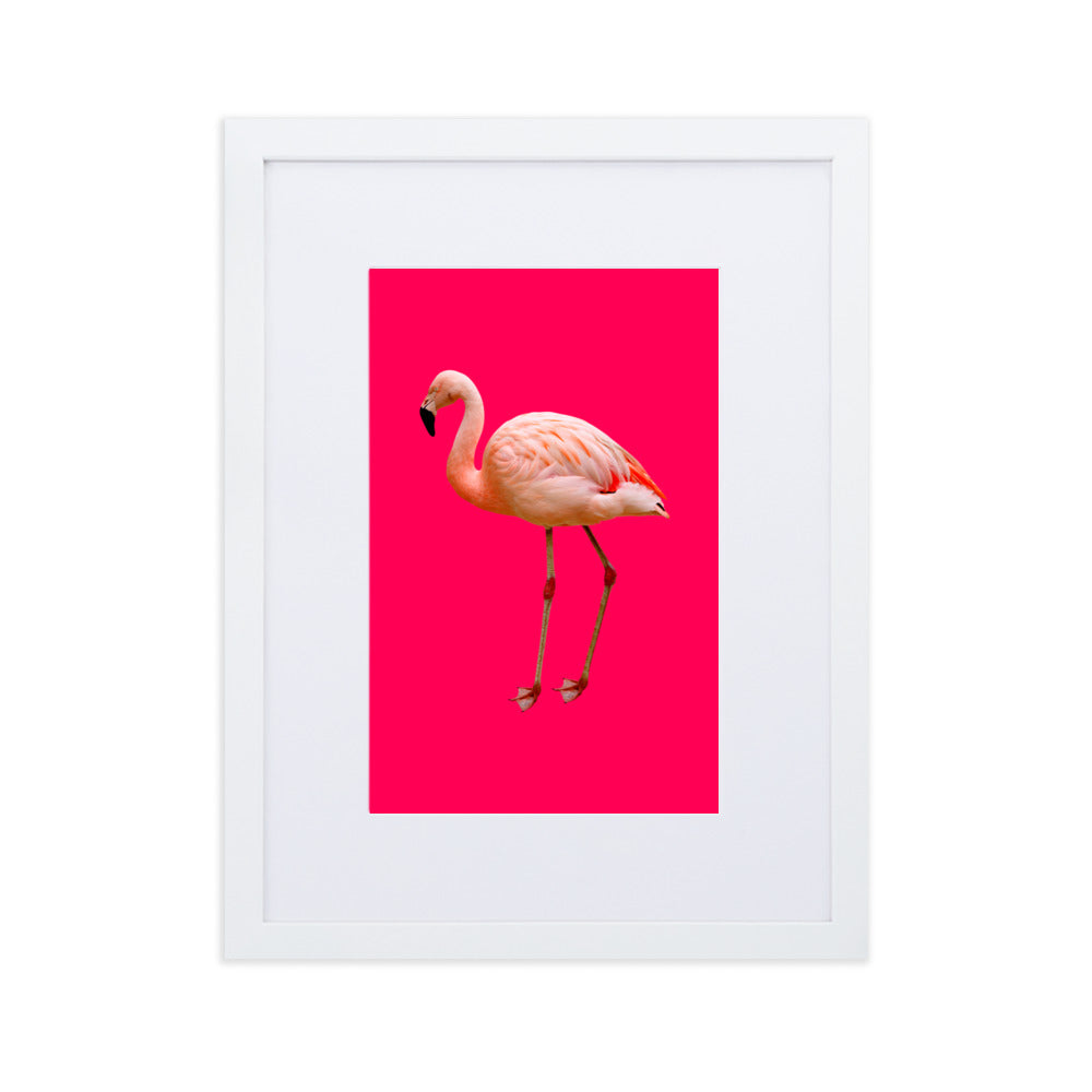 Pink Flamingo Framed Print