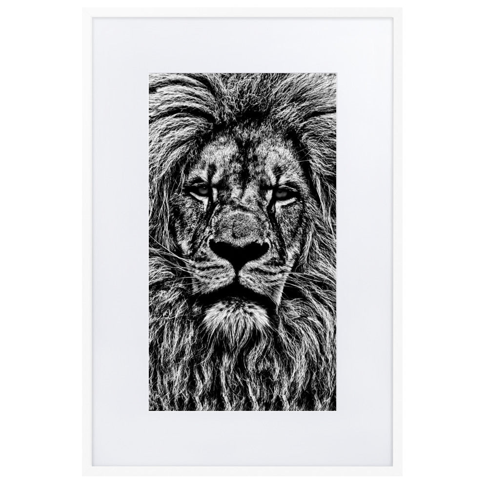 Mono Lion Framed Print With Mat Board