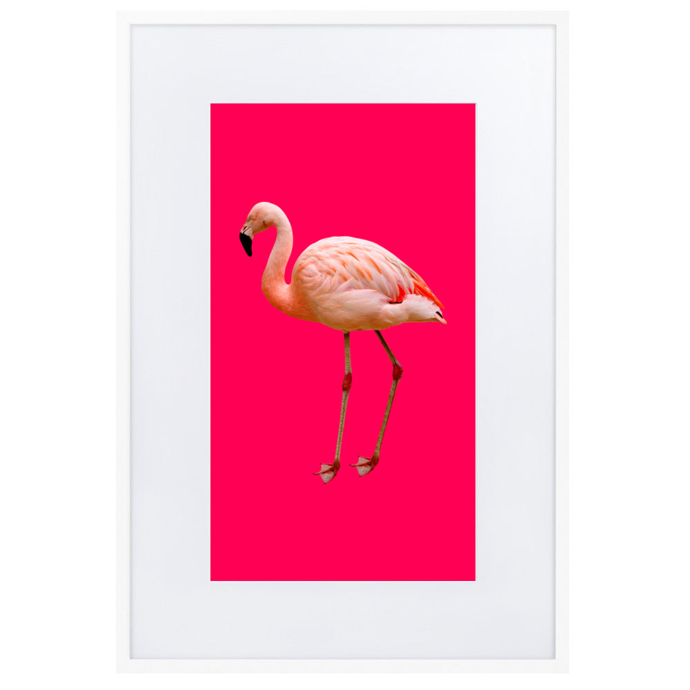 Pink Flamingo Framed Print