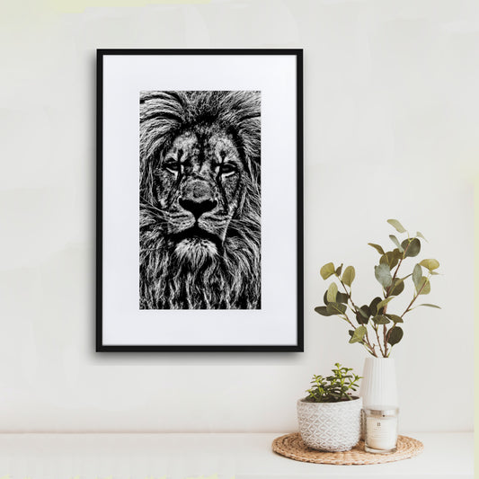 Mono Lion Framed Print With Mat Board