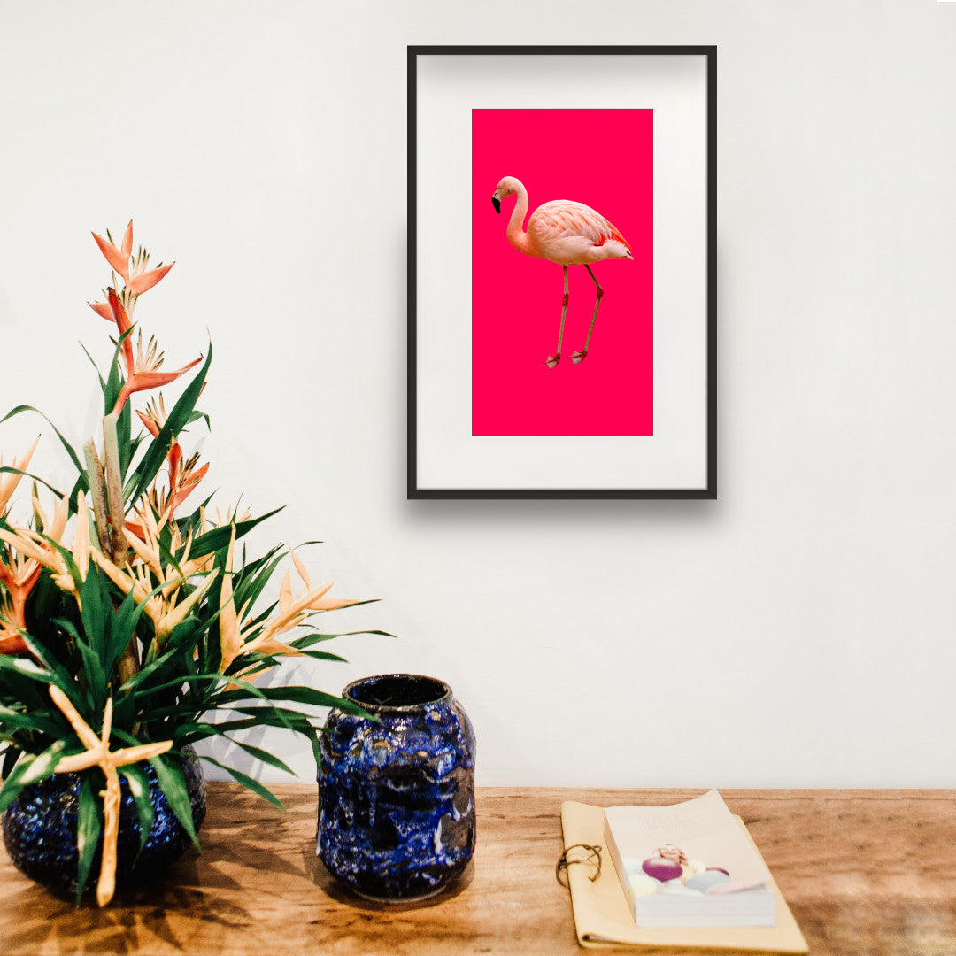 flamingo with pink background 