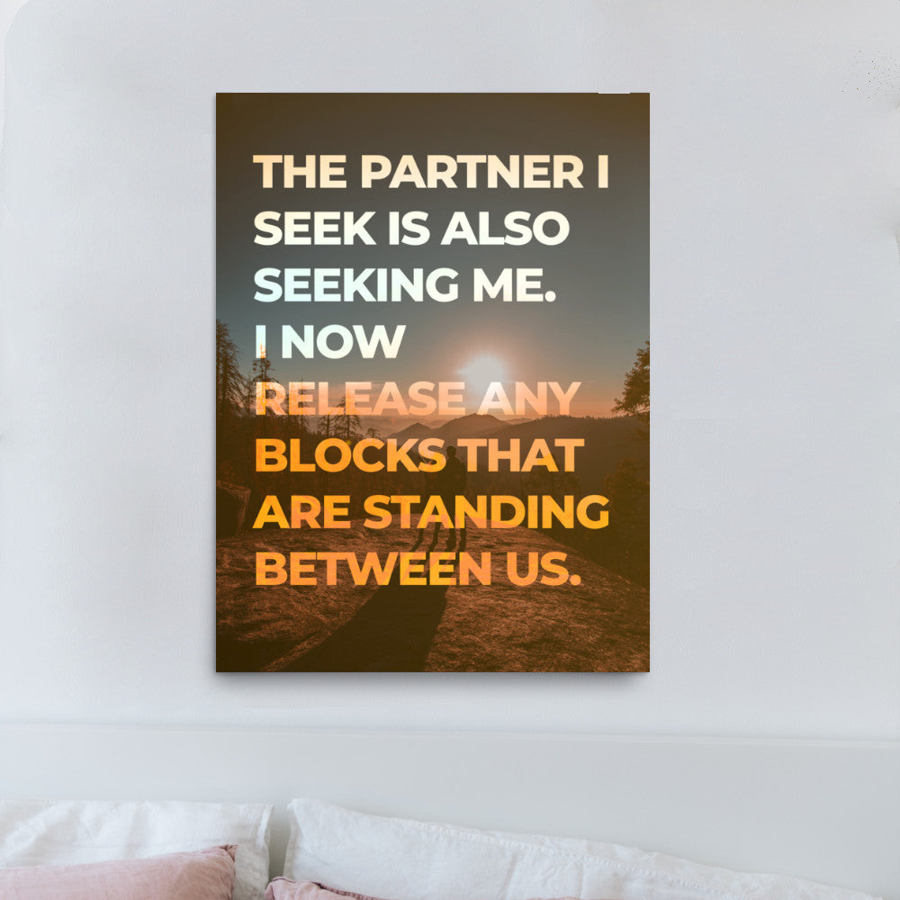 The Partner I Seek Poster Print