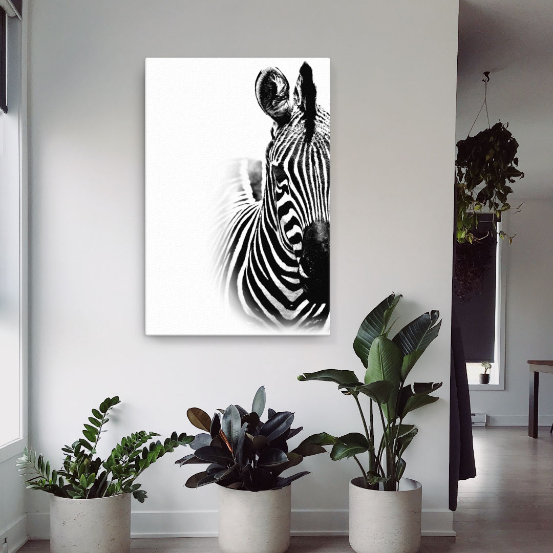 zebra animal canvas print on wall 